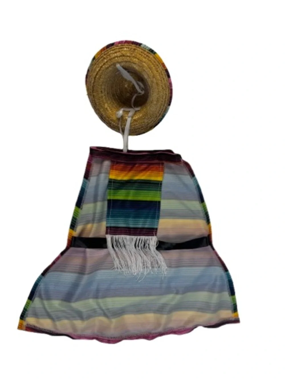 Mexican Serape & Sombrero Dog Costume
